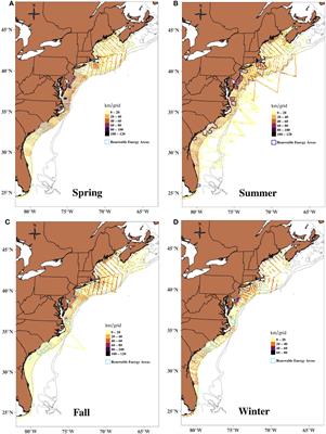 Detection of Habitat Shifts of Cetacean Species: A Comparison Between 2010 and 2017 Habitat Suitability Conditions in the Northwest Atlantic Ocean